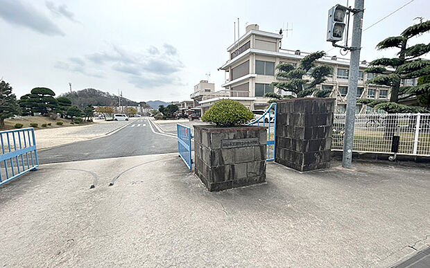 市立中央小学校(約350m)