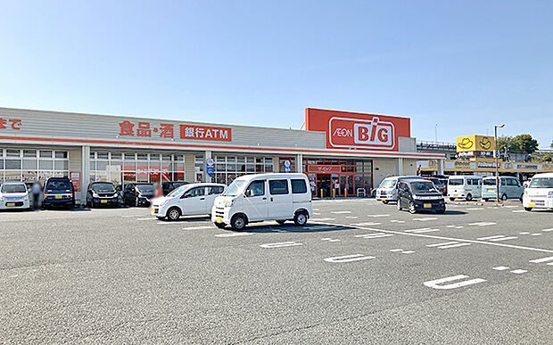 ザ・ビッグ 白根店(約2,900m)