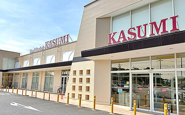 フードマーケットカスミ(約1,690m)