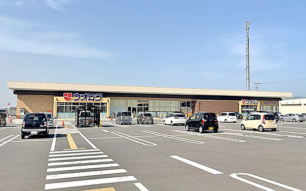 ウオロク小舟店(約350m)