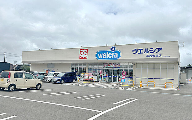 ウェルシア燕西太田店（約780m）