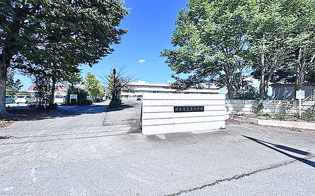 羽生市立東中学校(約3,810m)