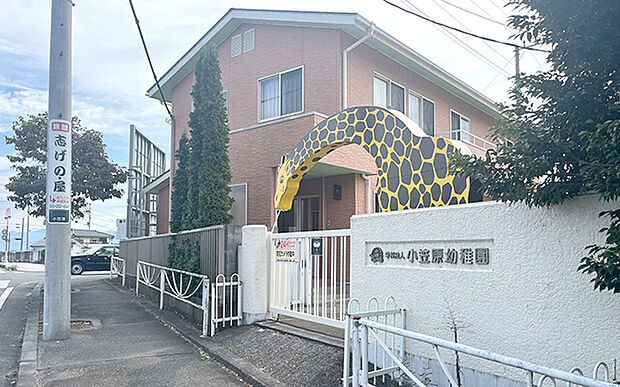 認定こども園小笠原幼稚園(約1,500m)