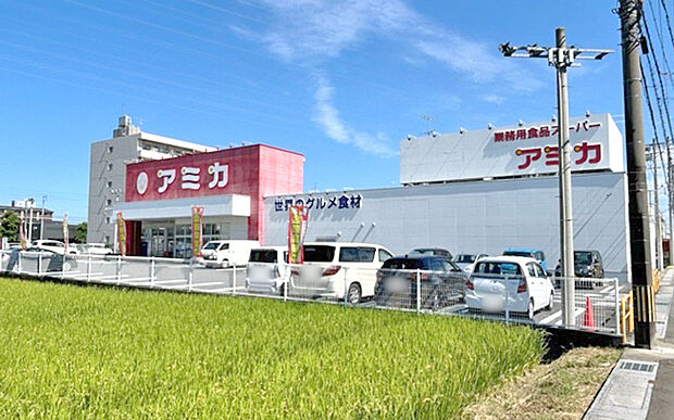 アミカ岐阜店（約380m）