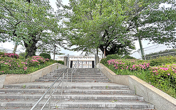 秦野市立東小学校（約1,500m）
