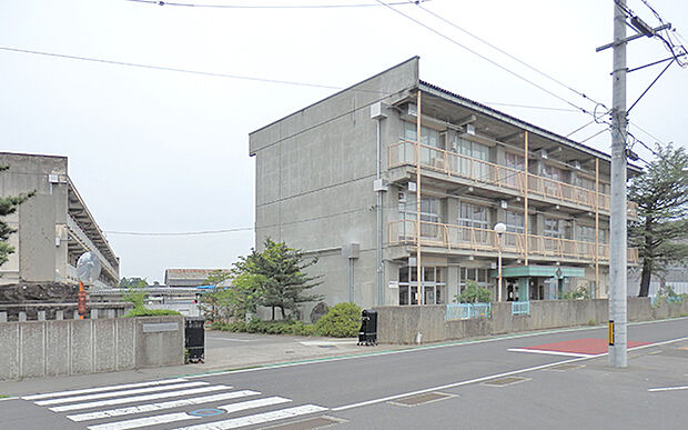 長野市立朝陽小学校（約1,000m）