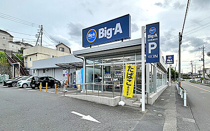 Big-A八王子長沼町店 1750m