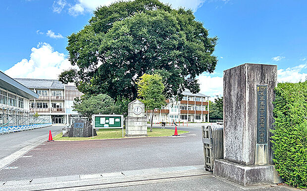 真岡市立真岡小学校(約1,020m)