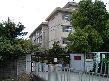 松原中学校 700ｍ(徒歩9分)