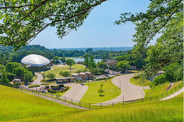 鞍ヶ池公園(鞍ヶ池、動物園、植物園)(約3,070m)