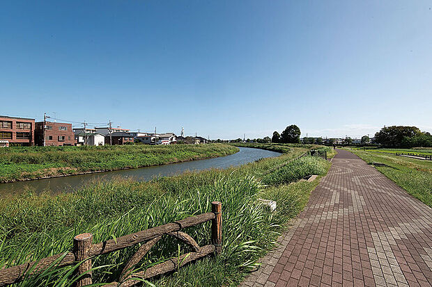 元荒川緑道（現地より徒歩9分）
