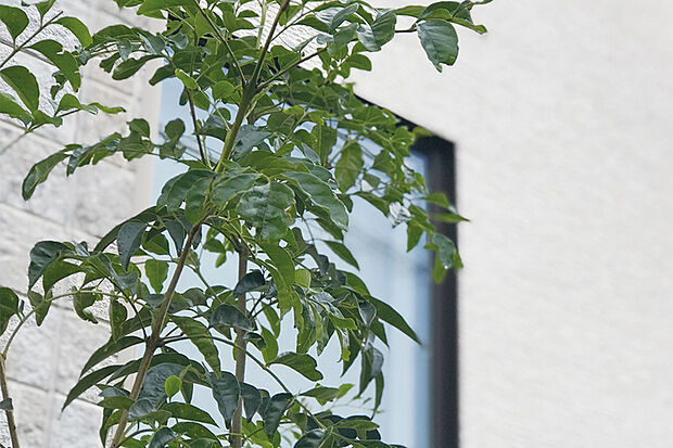 【【シンボルツリー】】外観の象徴ともなるシンボルツリーを植樹。年月と共に家族が成長し、家も味わいを増していく中で、木々も一緒に成長する楽しみがあります。※画像はイメージです。