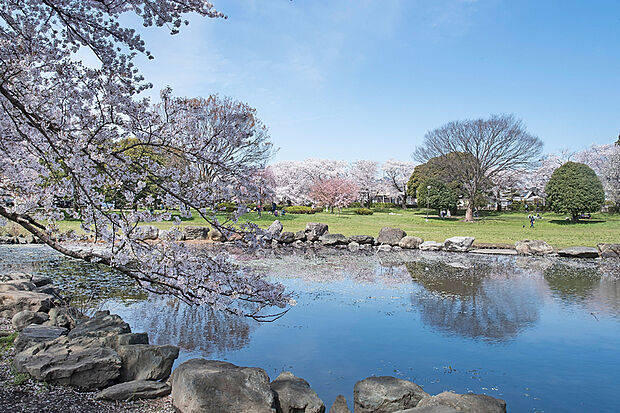 見沼氷川公園（現地より徒歩20分）