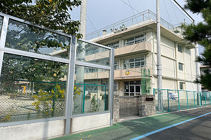 市川市立冨貴島小学校/徒歩7分 約540m