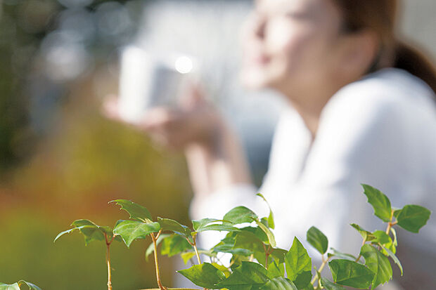【【陽だまり空間】】カースペースを隣接して配置することで、街並みの開放感や広がりに配慮しました。※画像はイメージです。※号棟により採用状況が異なります。