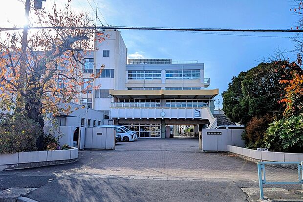 野寺小学校/徒歩6分