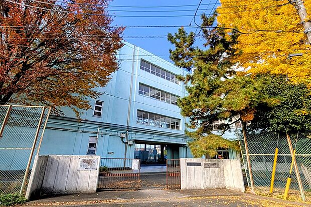 第五中学校/徒歩13分