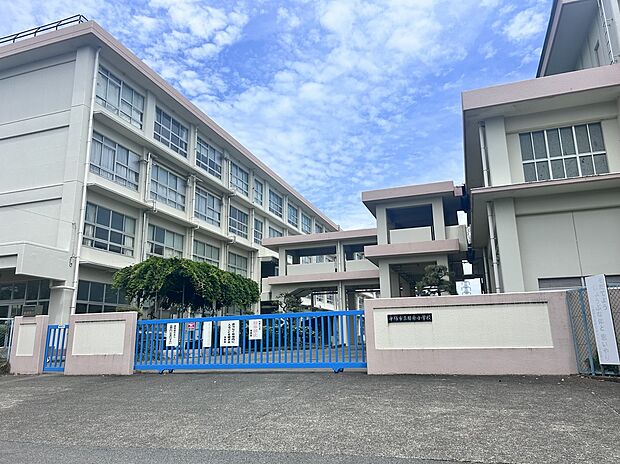 勝原小学校(約800m)