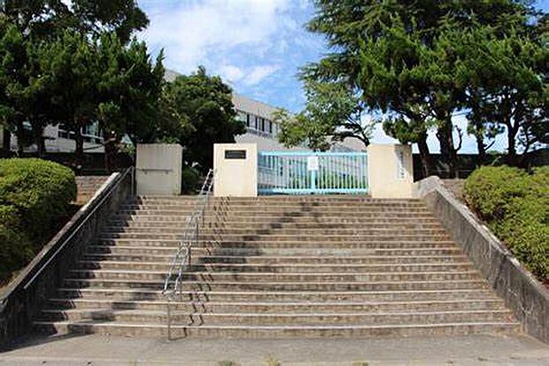 鶴川第四小学校(約370m)