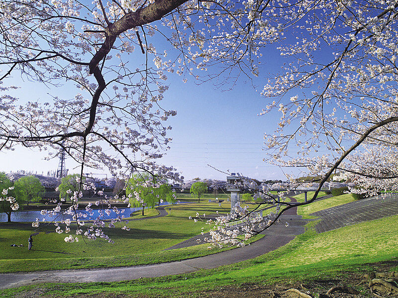大和田公園
大宮第二公園に隣接し、6つのプール、野球場のレジデンシャルスタジアム大宮、7面のテニスコートなどを有するほか、夏は屋外プールなど、さいたま市花火大会の会場として賑わいます。駐車場完備。
