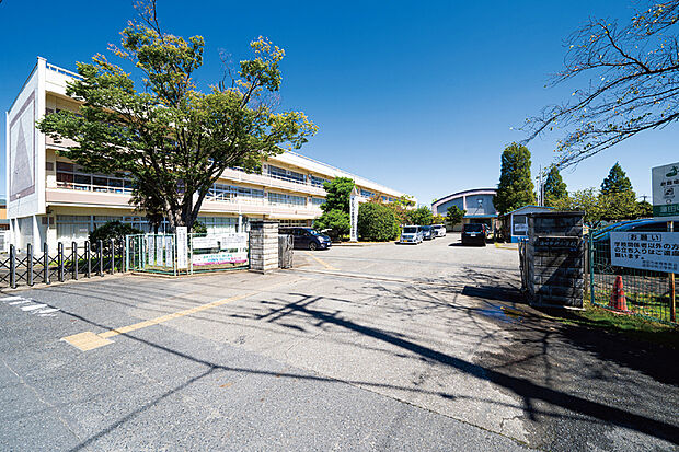 蓮田市立蓮田中央小学校（現地より徒歩6分）