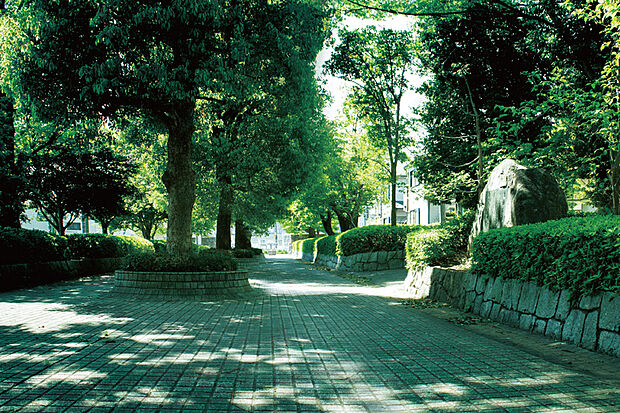 堂山公園（現地より徒歩3分）