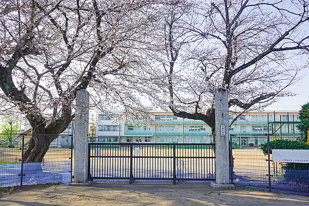 小針小学校（現地より徒歩11分）