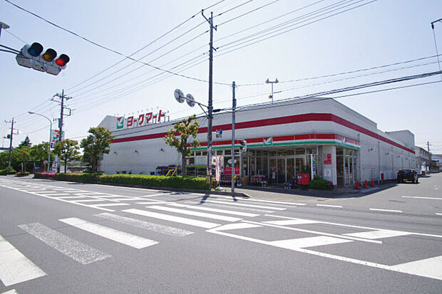 【ヨークマート柳崎店】（現地より徒歩3分）