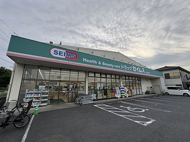 ドラッグセイムス入谷舎人店（約1,521m）