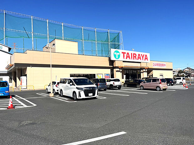 エコスTAIRAYA幸手店（約1,120m）
