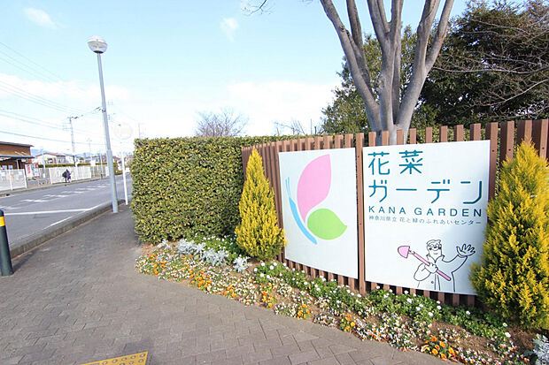 花菜ガーデン（約822m）