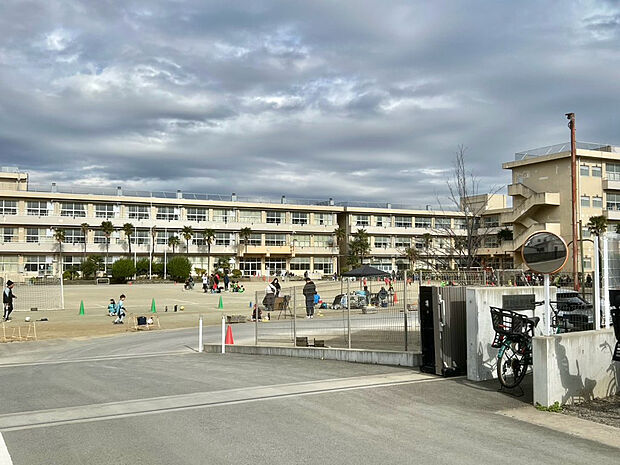 小田原市立酒匂小学校（約1,330m）