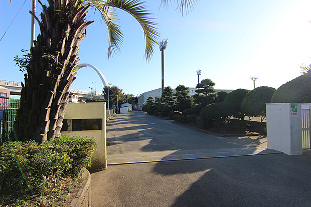 茅ヶ崎市立中島中学校（約1,100m）