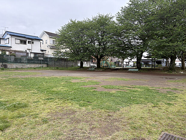 渋沢ふれあい公園（約309m）
