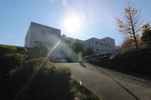 秦野市立渋沢小学校（約571m）