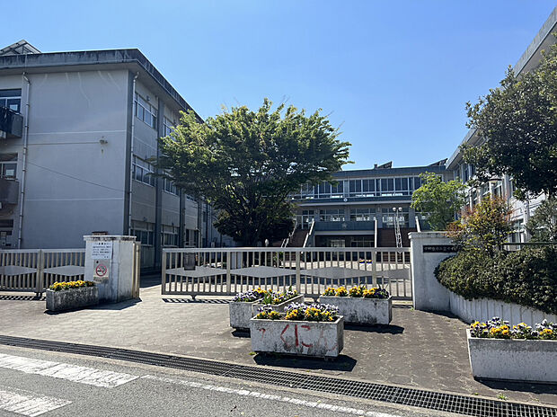 小田原市立富水小学校（約1,148m）