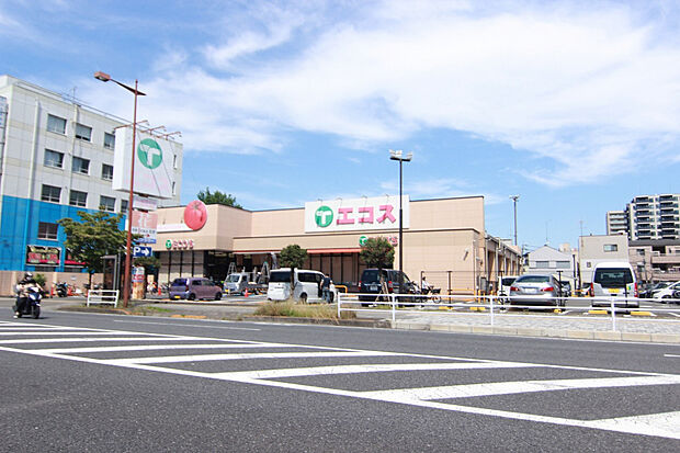 エコス大横店（約595m）