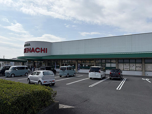 カネハチ川尻店（約900m）