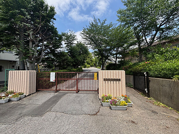 柏市立柏第四小学校（約1,100m）