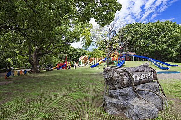 平塚市総合公園（約1,360m・徒歩17分）