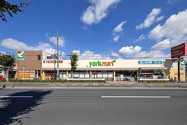 ヨークマート 柳崎店（約220m・徒歩3分）