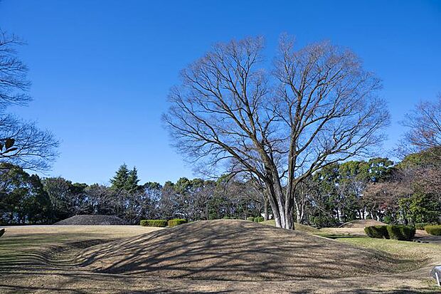 桜土手古墳公園／はだの歴史博物館（約550m・徒歩7分）