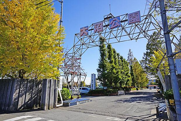 大沼公園(約480m・徒歩6分)