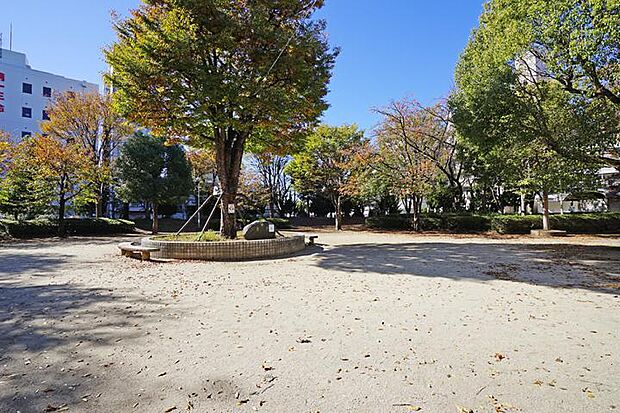 中央町第4公園(約980m・徒歩13分)