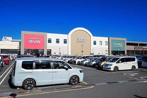 りんかんモール（徒歩12分）