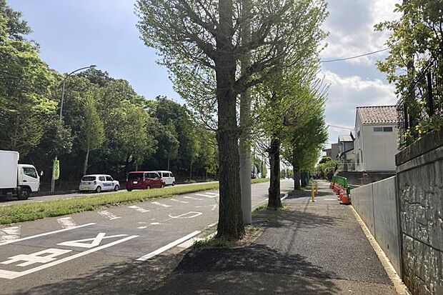 【前面道路3（撮影_2026年4月）】ゆとりのある前面道路。道路の逆側は公園となっており、緑豊かな景観が広がります。