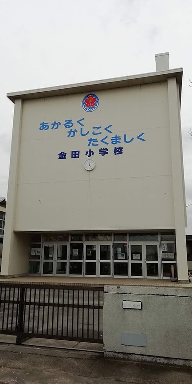 金田小学校（約1,000m）