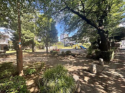新町南公園 約560m(徒歩7分)