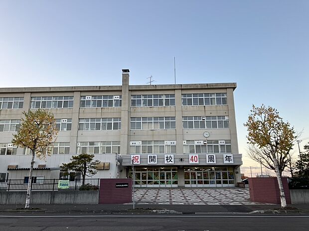 厚別中学校（約800m）