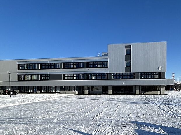 新陽小学校（約800m）
